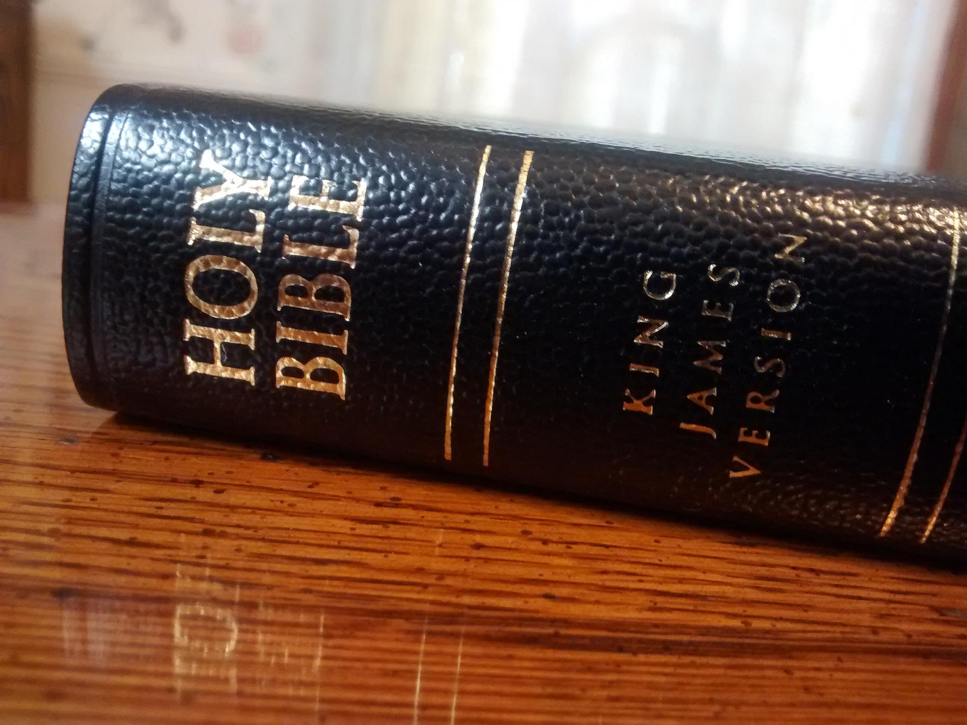 The current image has no alternative text. The file name is: joyfruit-bible-998150_1920
